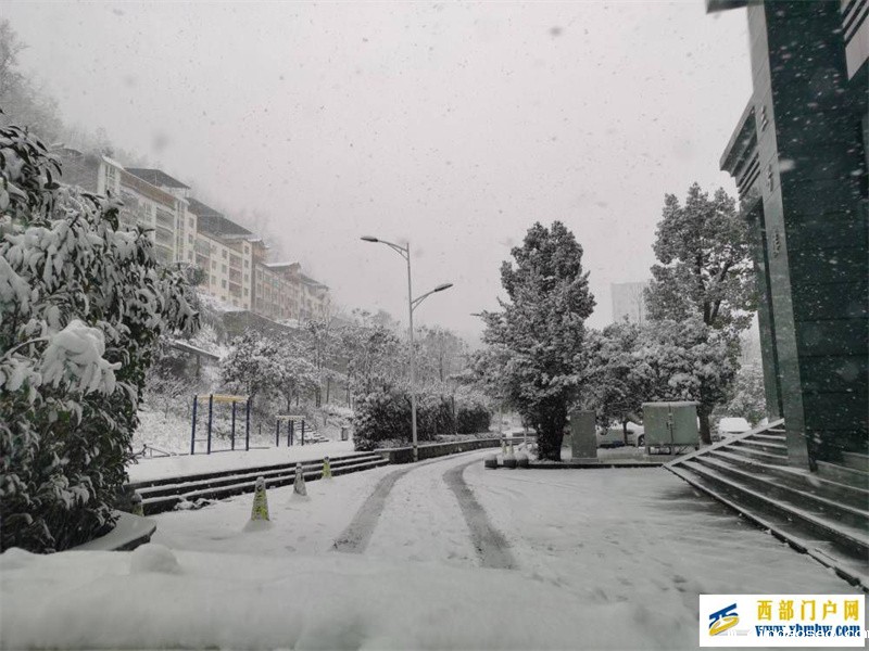 望巴蜀酉阳下雪啦!下得那么深,下得那么认真……(图1) 望巴蜀酉阳下雪啦!下得那么深,下得那么认真……(图1)