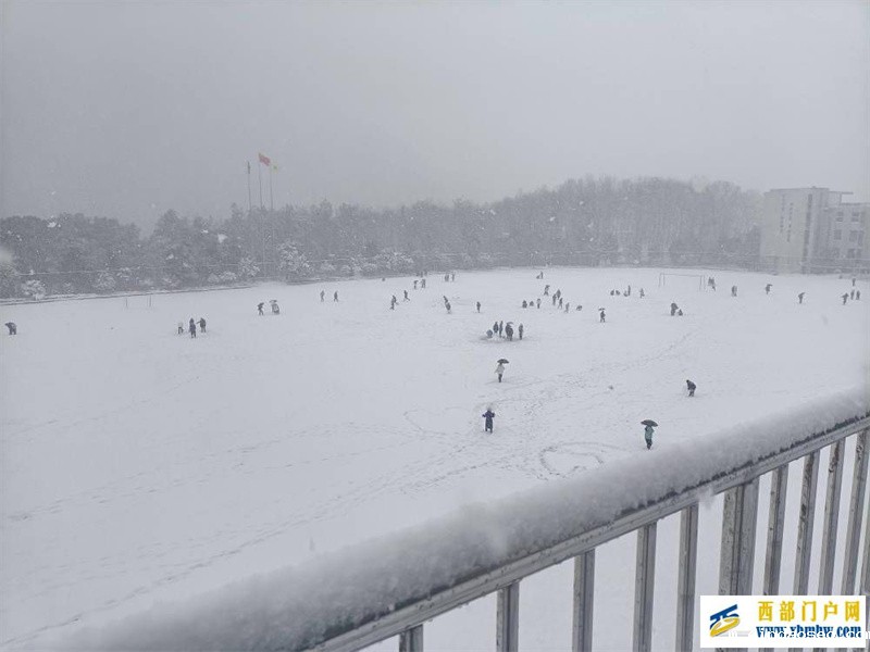望巴蜀酉阳下雪啦!下得那么深,下得那么认真……(图3) 望巴蜀酉阳下雪啦!下得那么深,下得那么认真……(图3)