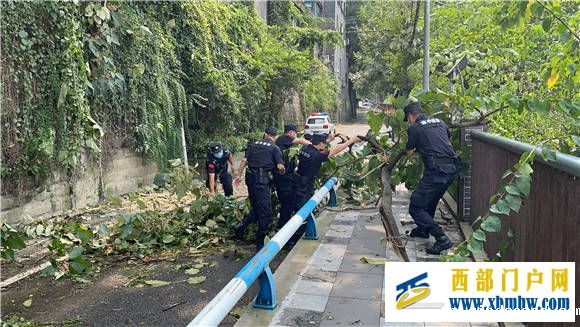 重庆渝中:打造“新时代群防铁军”(图1) 重庆渝中:打造“新时代群防铁军”(图1)