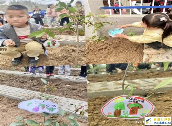刀坝镇中心幼儿园“植树节”活动(图3) 微信图片_20230317094919.jpg