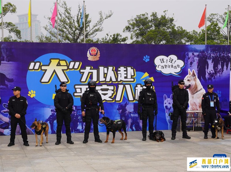 广西南宁举办警营开放日活动(图3) 广西南宁举办警营开放日活动(图3)