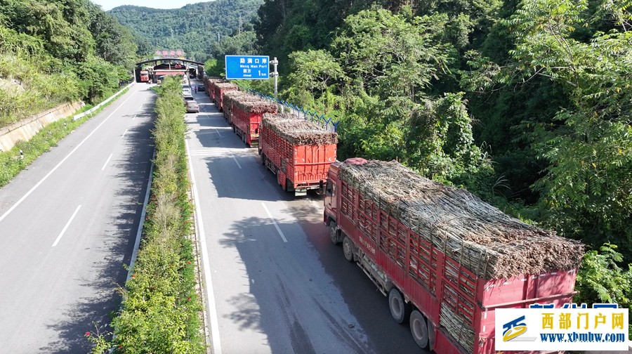 中老2025至2026年度榨季甘蔗跨境运输开启(图1) 中老2025至2026年度榨季甘蔗跨境运输开启(图1)