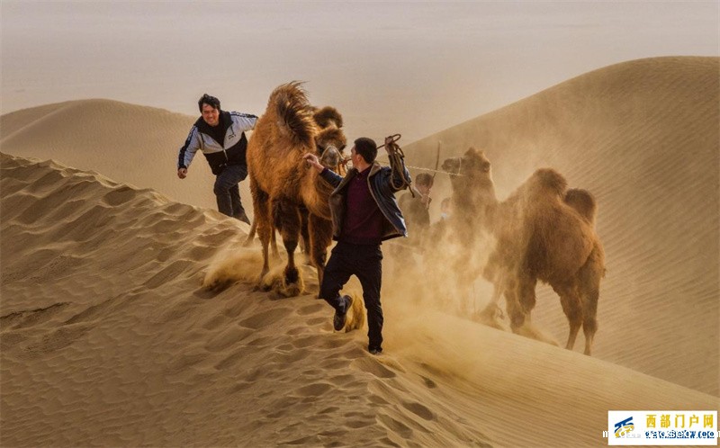 2022年新疆叶城旅游推介走进西安(图1) 2022年新疆叶城旅游推介走进西安(图1)