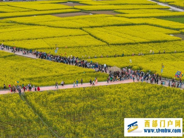 春花盛事,震撼巴山 | 2024最美油菜花海汉中旅游文化节镇巴分会场活动隆重举行(图5) 春花盛事,震撼巴山 | 2024最美油菜花海汉中旅游文化节镇巴分会场活动隆重举行(图5)
